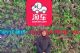 淘车90后“宝妈”为家立业，成就二手车销售“女强人”