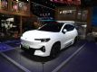 춯SUV ;ɽL62024