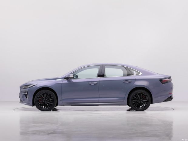  L 2024  1.5T ͵춯