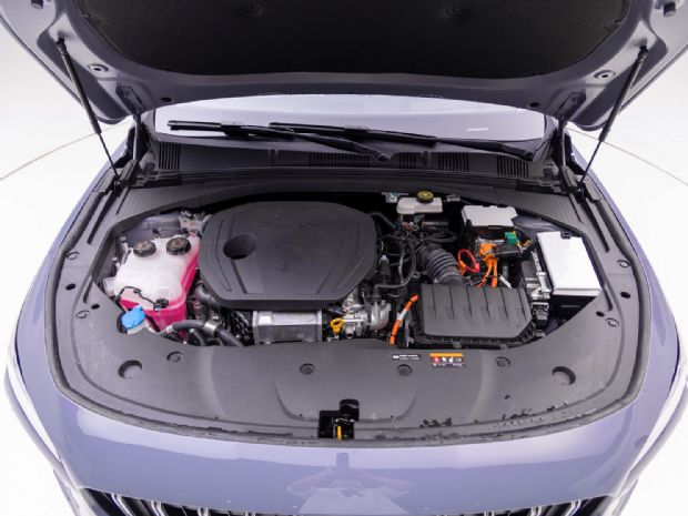  L 2024  1.5T ͵춯