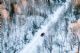 越野趣 2023款越野炮带你雪地激情“撒欢”