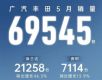 56954533.1%