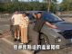 安徽孝心网红瓦坎达，父亲节为父母圆梦北京