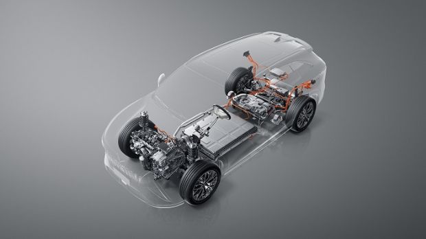 P2.jpg