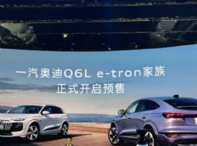 һµA5L/Q6L e-tron87