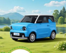 ƯͼָMINIEV