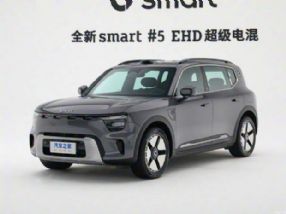 smart#5 EHDԤ18.991615km