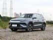 2026����Pro DM-i�������潫��1��10������