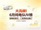 6月新能源汽车销量榜 纯电SUV零售销量排名