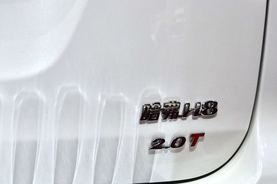 2013 H8  ϸ