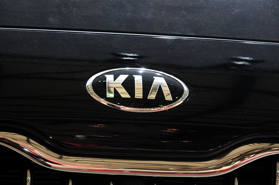 K9 2013 ϸ