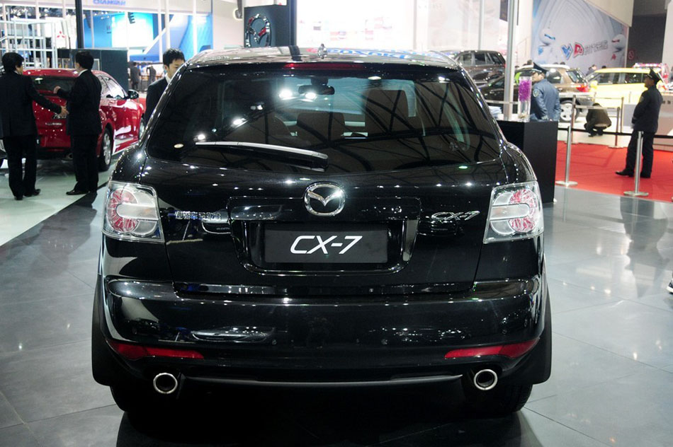 2013  ϸ