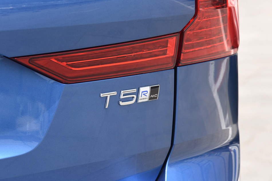 2019 T5 Զ˶ ϸ
