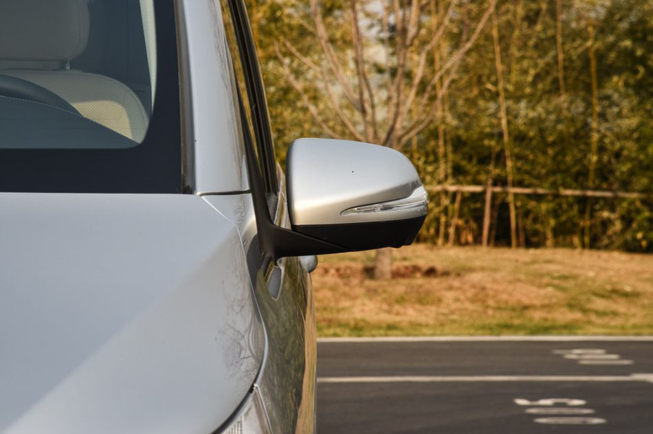 2016 V 260  ϸ