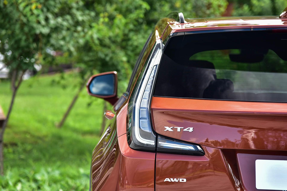 2019 28T ˶ ϸ