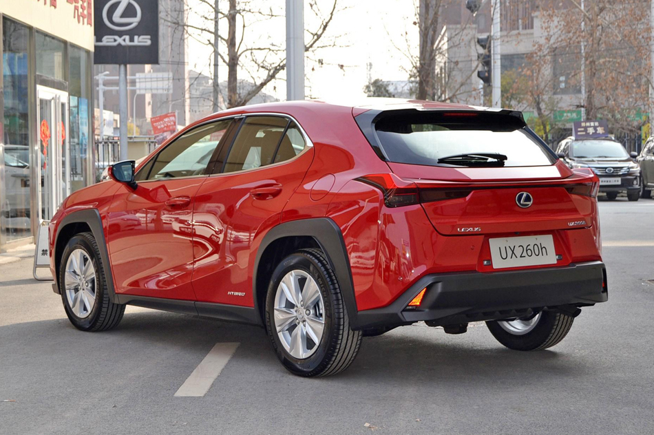 2019 260h ̽·Ȥ VI 