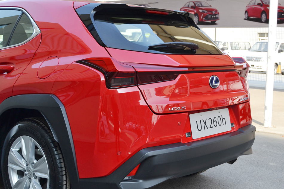 2019 260h ̽·Ȥ VI ϸ