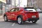 2019 260h ̽·Ȥ VI 