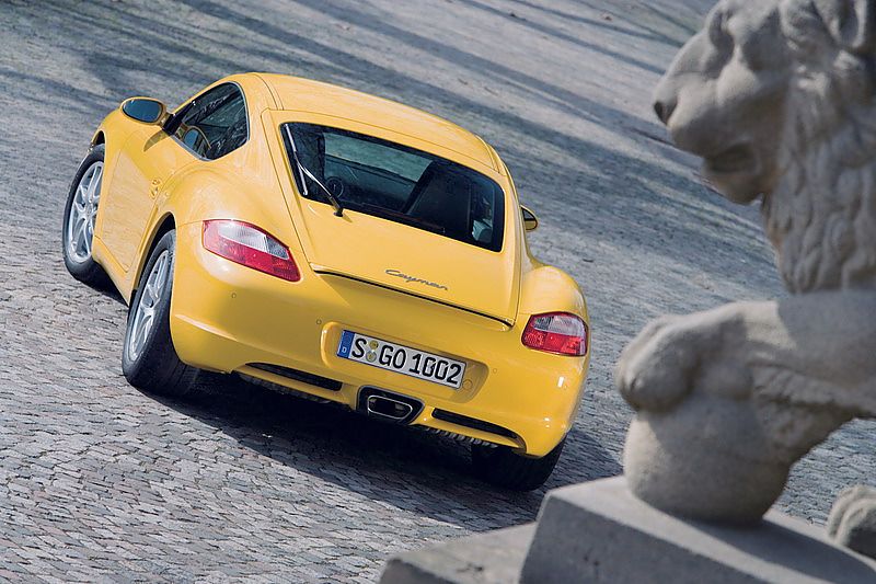 ʱCayman