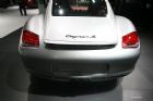 ʱCayman