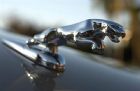 XJ8 VandenPlas