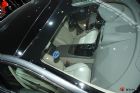 ݱXJL