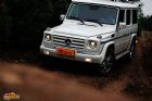G500ͼƬ