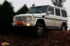 G500ͼƬ