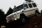 G500ͼƬ