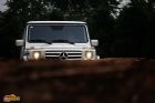 G500ͼƬ