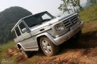 G500Խڵ