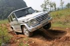 G500Խڵ