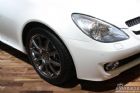 SLK300