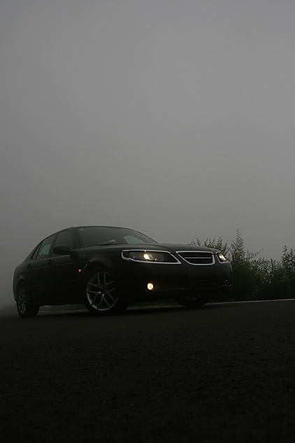 95ƪ