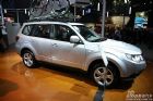 Forester(ɭ)