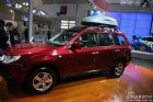 Forester(ɭ)