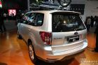Forester(ɭ)