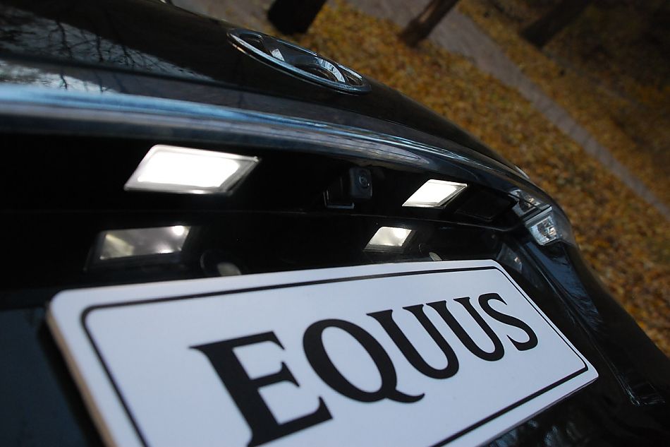 ִEQUUSſ