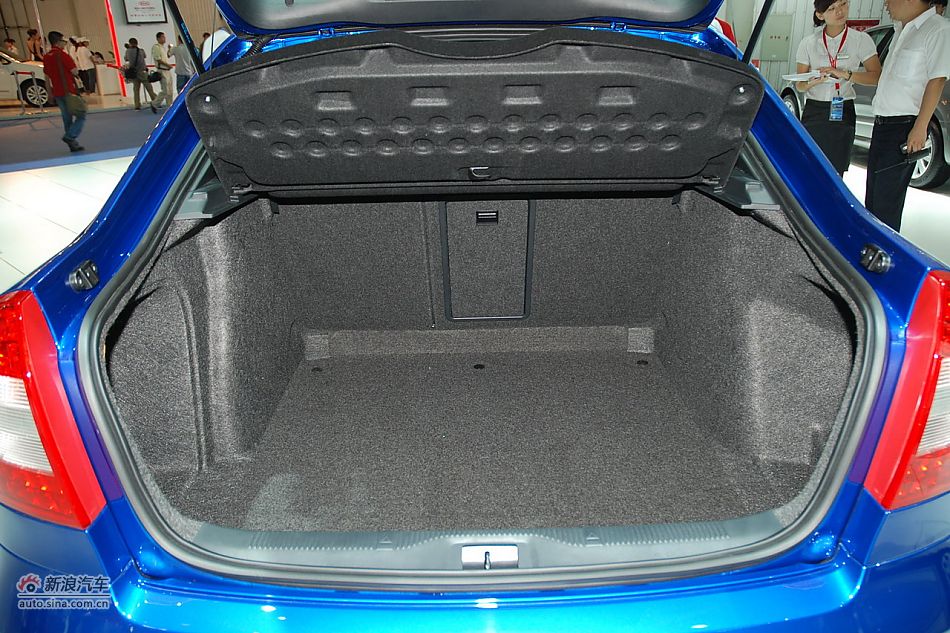 2010RS