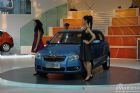 ˹´Fabia
