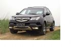MDX ̬