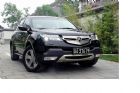 MDX ̬
