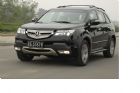 MDX ̬