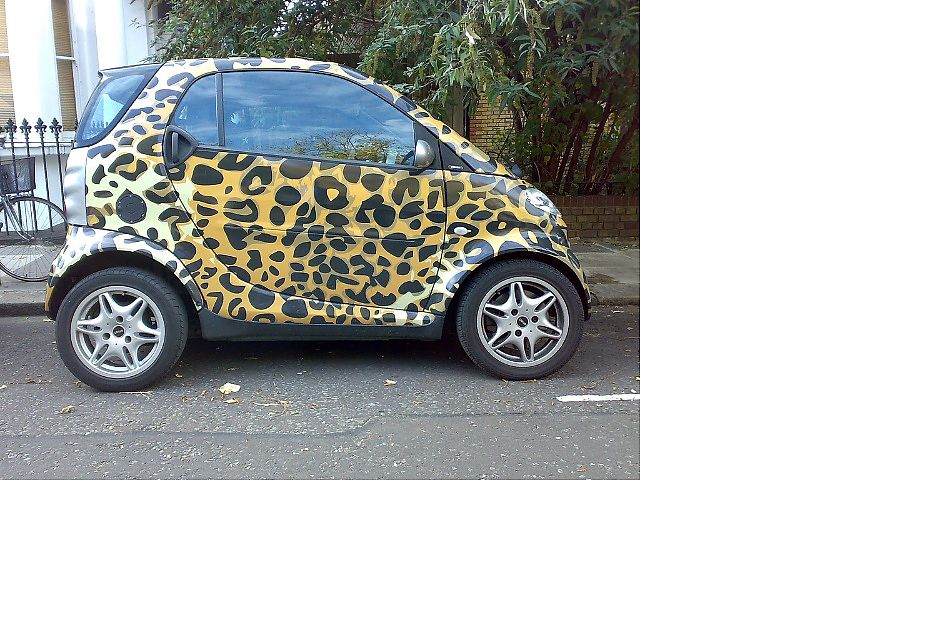 ʻsmart