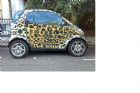 ʻsmart