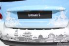 Smart˫