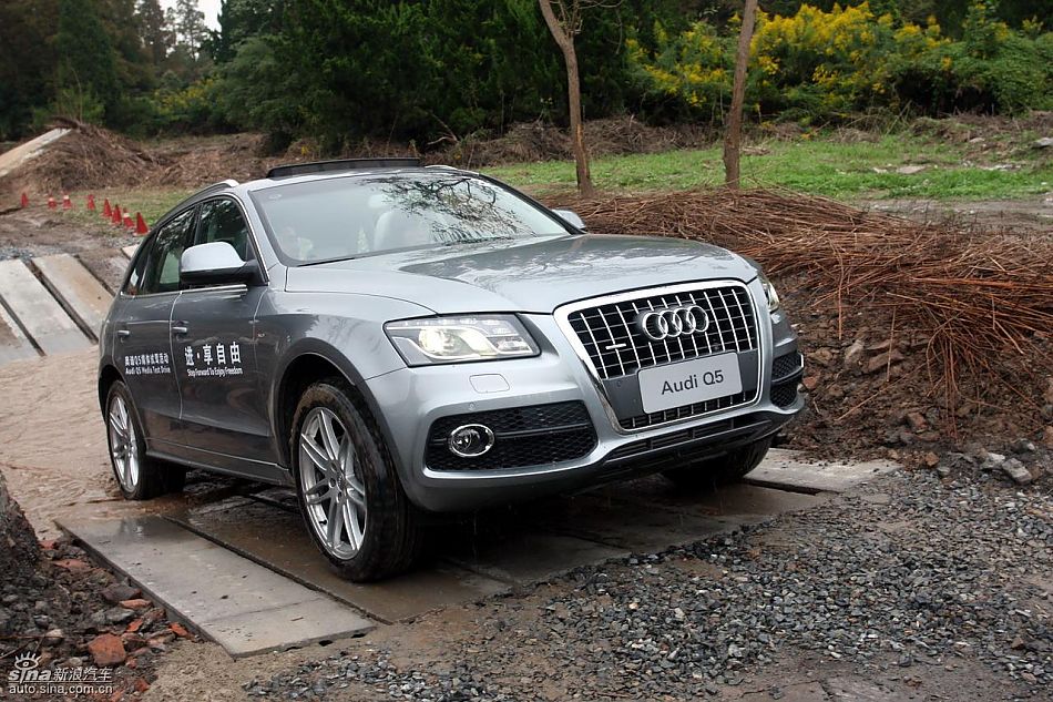 ԼݽڰµQ5
