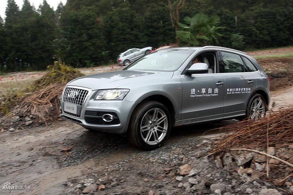 ԼݽڰµQ5