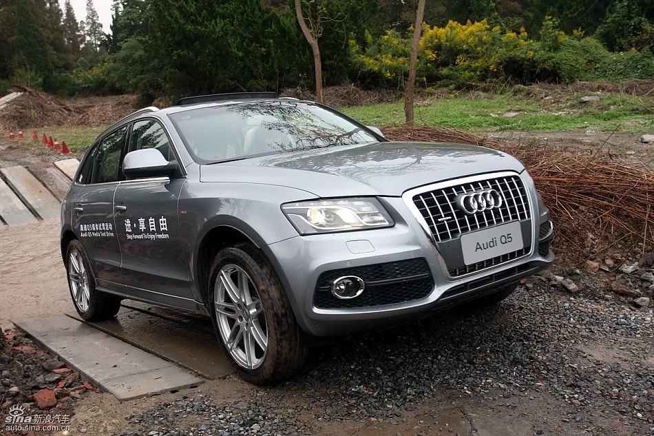ԼݽڰµQ5