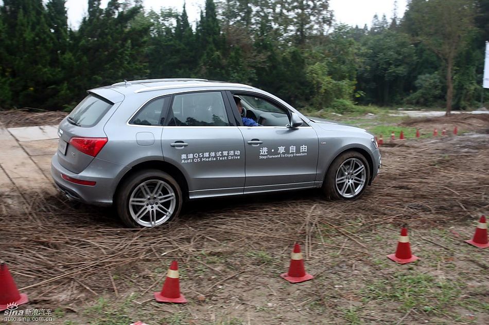 ԼݽڰµQ5